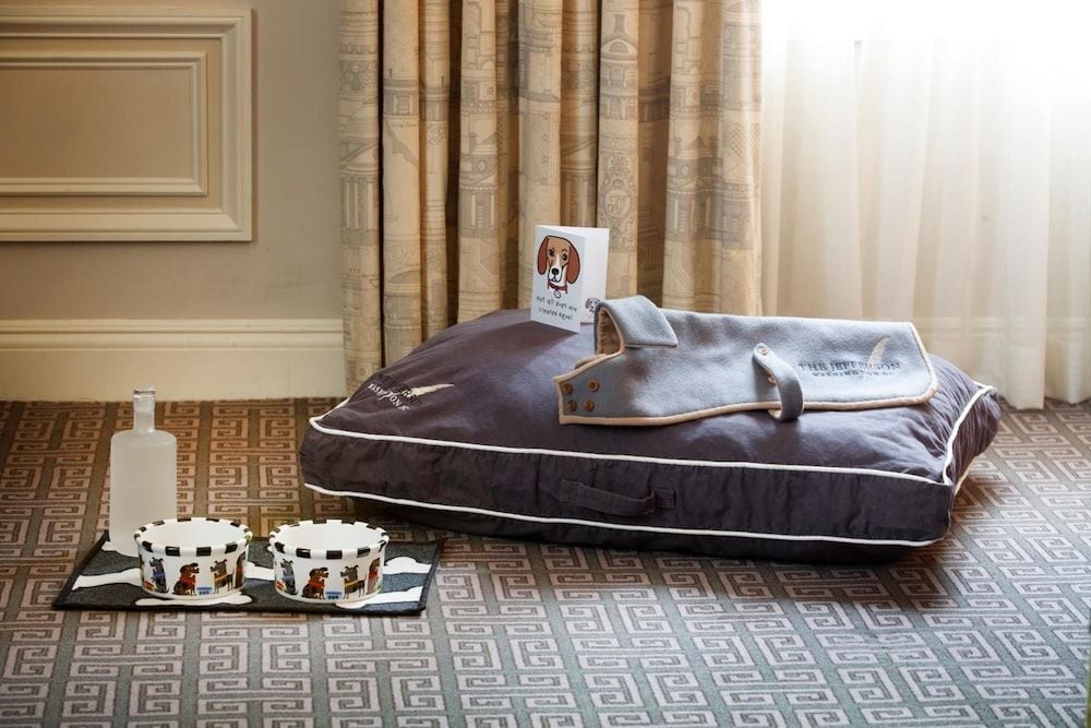 Plush dog beds and monogrammed towels reveal thoughtful pet amenities, while geometric rugs and warm lighting create an inviting sanctuary for four-legged guests.