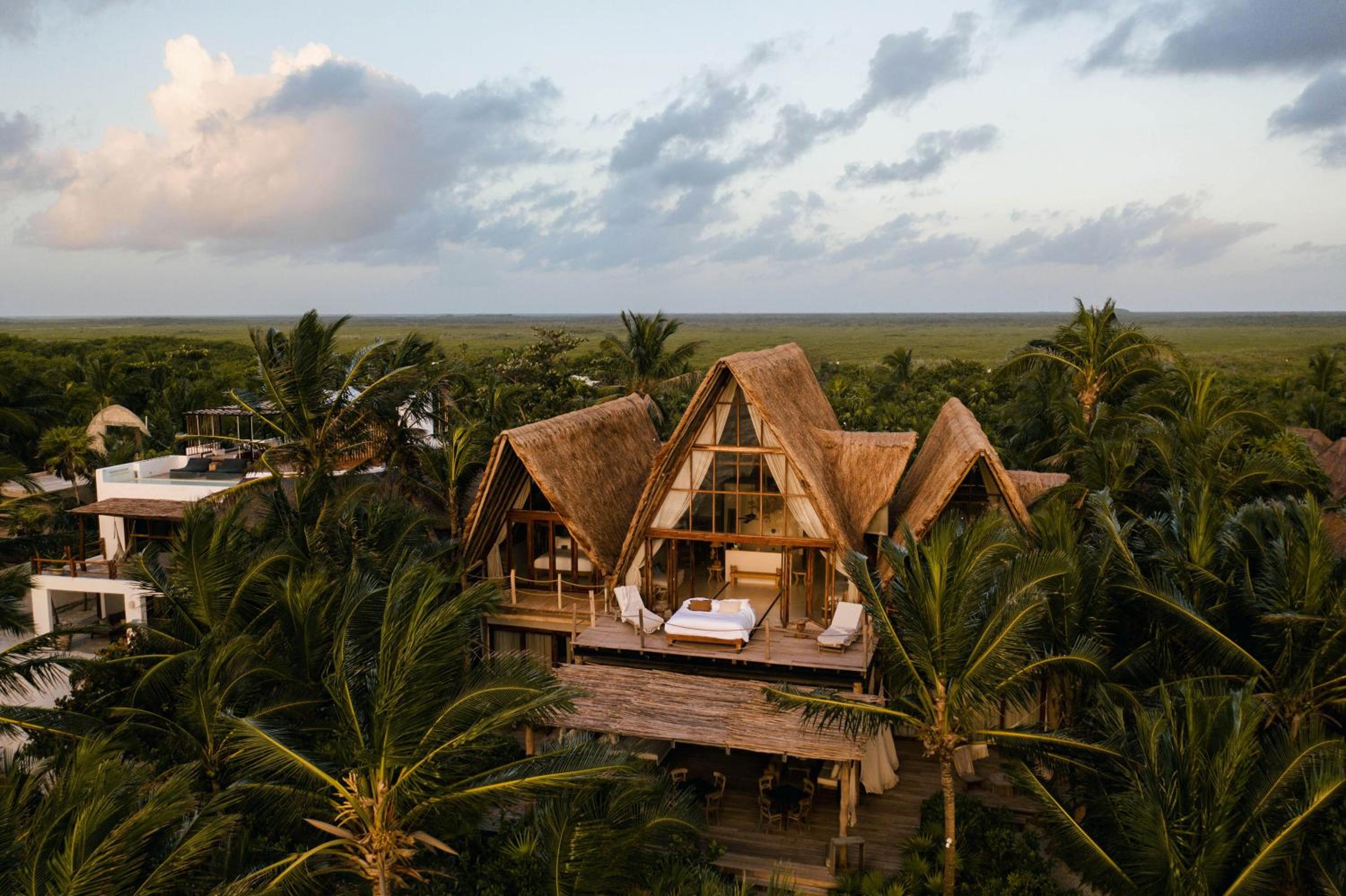 Where the jungle meets the sea in Tulum in Tulum, Quintana Roo