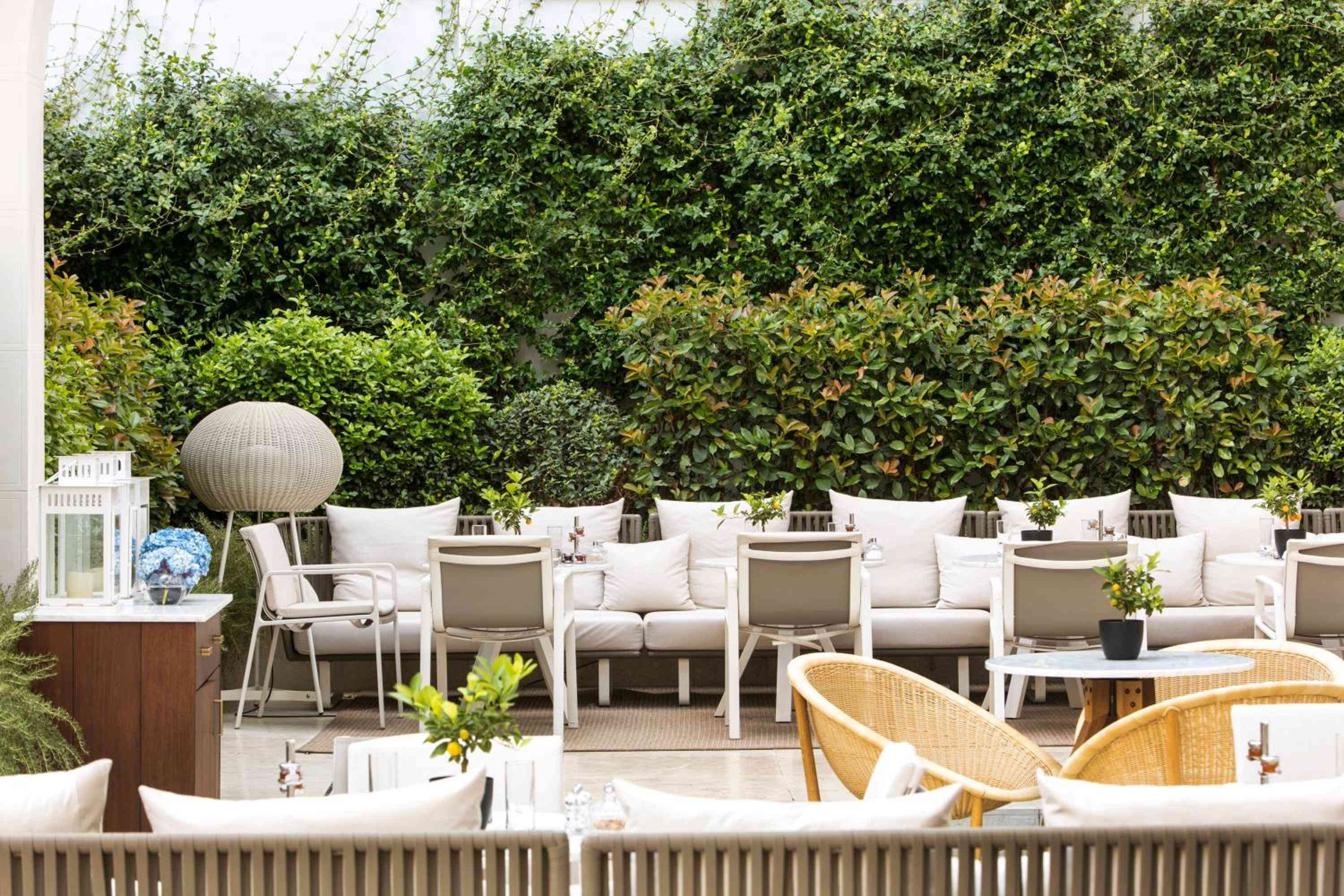 Wicker chairs and plush seating create intimate dining nooks beneath a verdant wall of climbing vines, where dappled sunlight filters through Madrid's urban oasis.