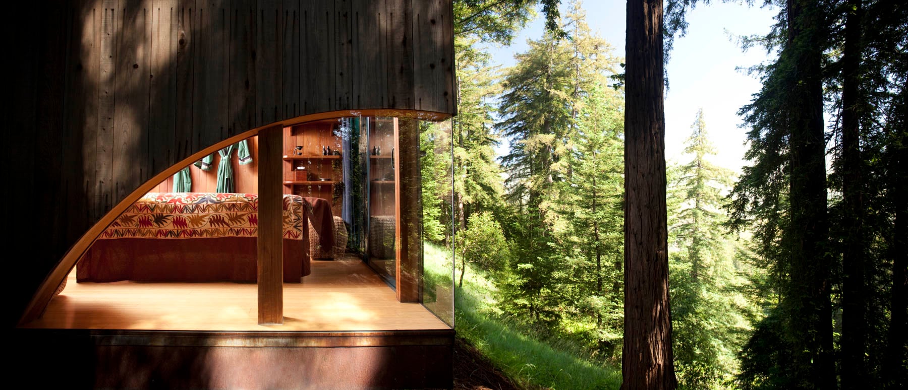 Curved glass walls dissolve boundaries between plush interiors and towering redwoods, creating an intimate treehouse sanctuary where luxury meets wilderness.