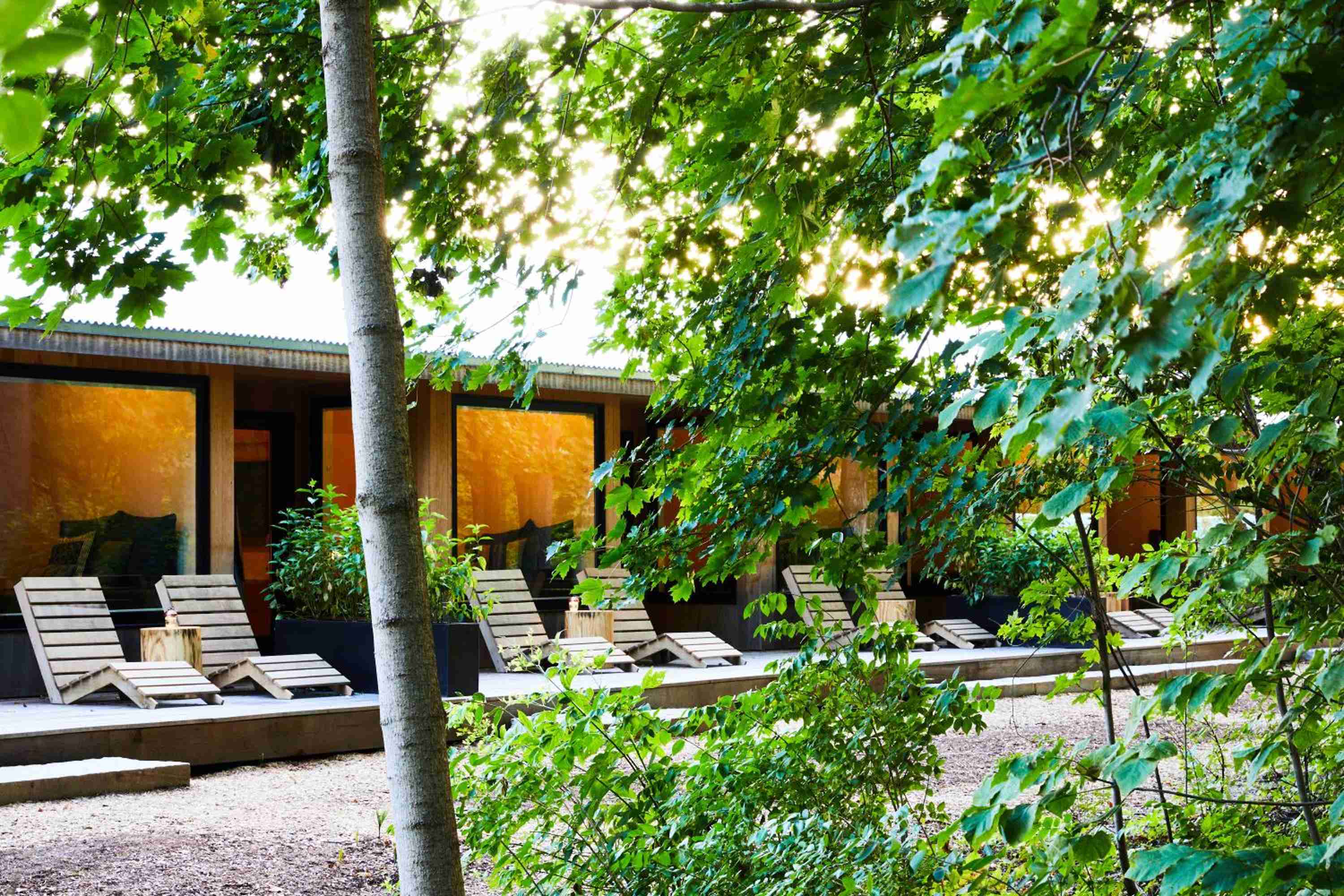 Weathered wooden loungers rest beneath dappled canopy light, where modern architecture meets verdant sanctuary in this tranquil outdoor retreat space.