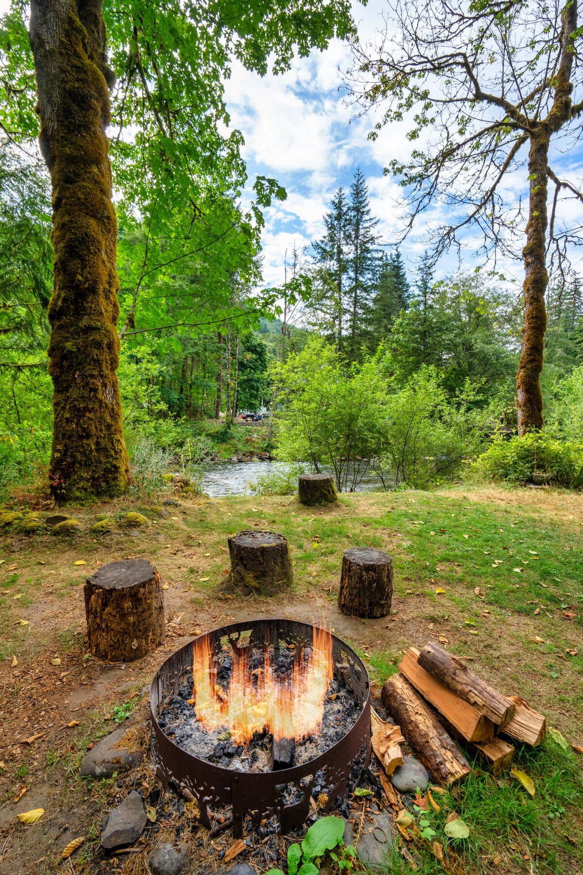 Riverfront Retreat - Mt Hood Views, Sleeps 4! image 26