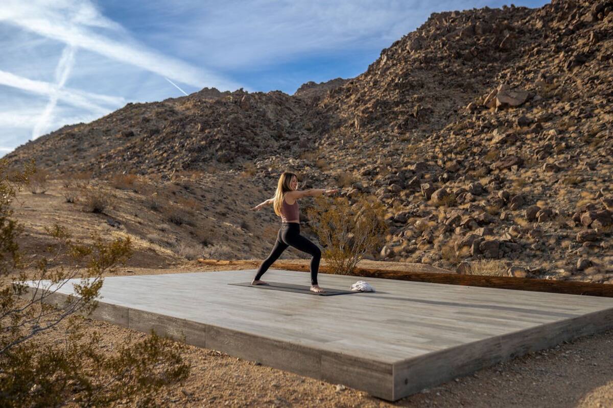 Discover your oasis in Joshua Tree in Joshua Tree, CA
