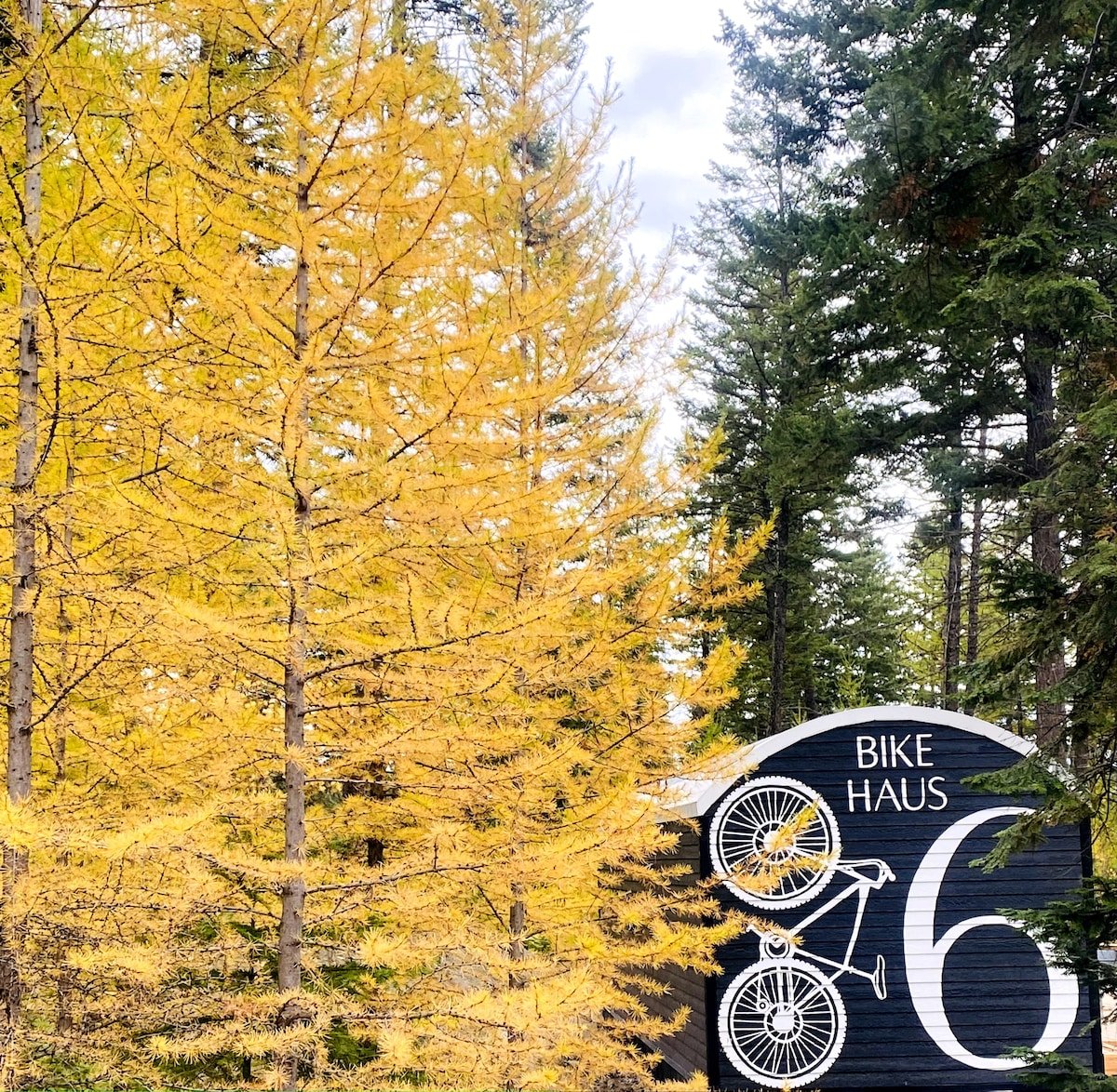 Savor Montana’s scenic landscapes from your private cabin in Lakeside, MT