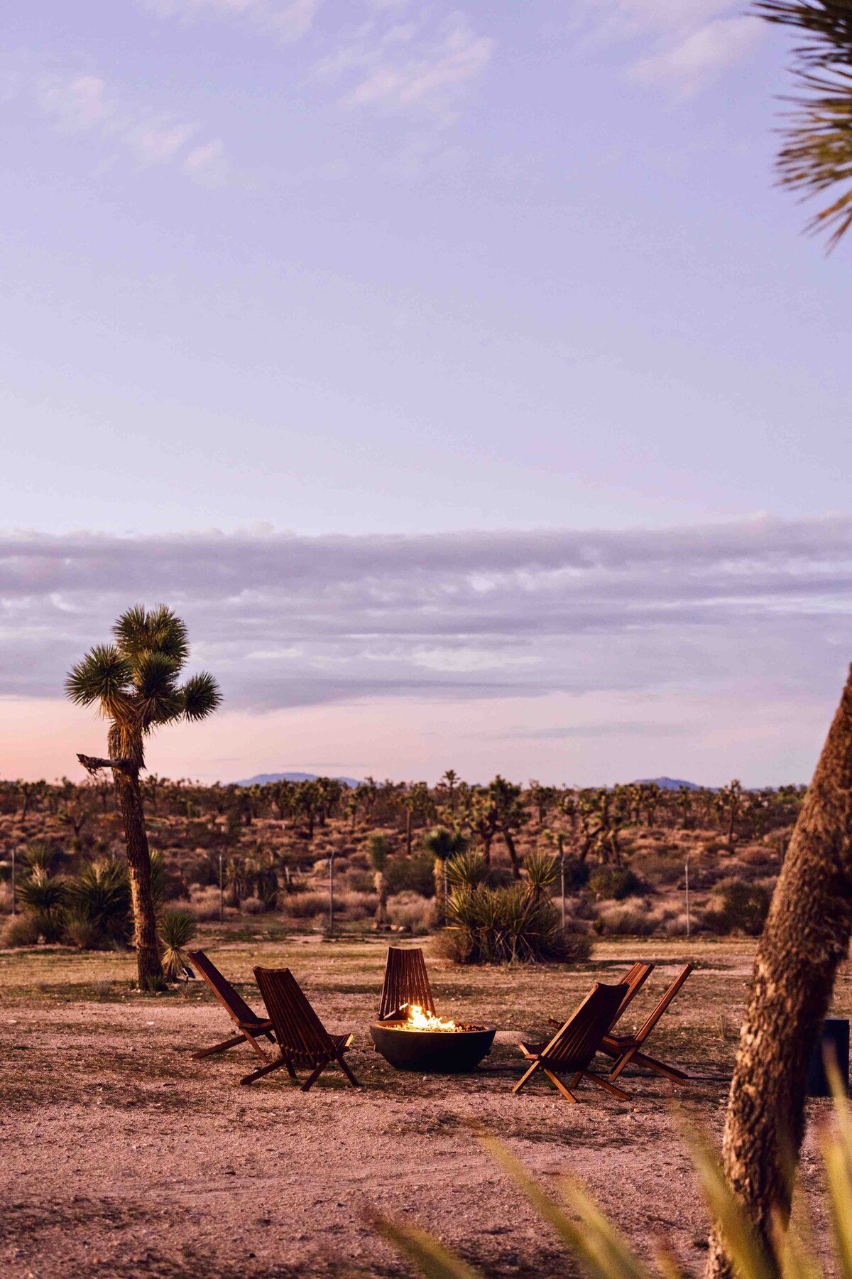 Crazy Heart Ranch · Western Escape, Spa, Views! image 34