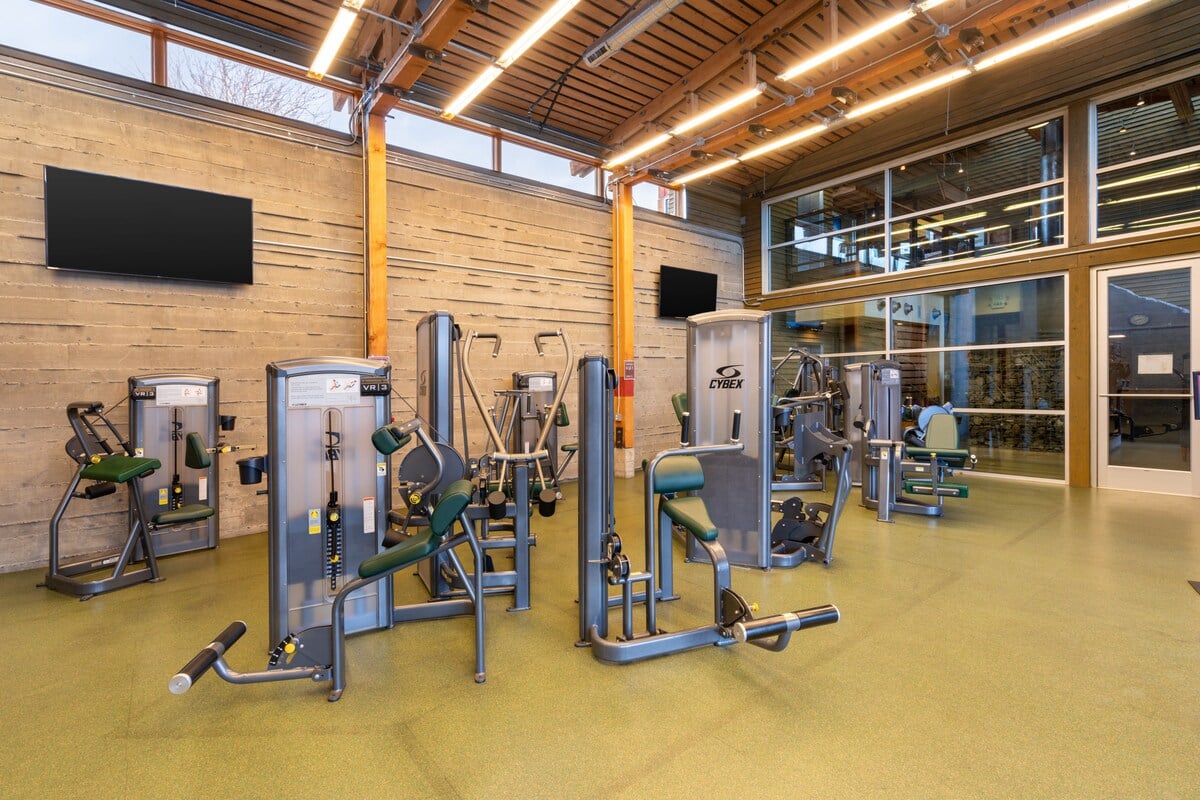 Gym.