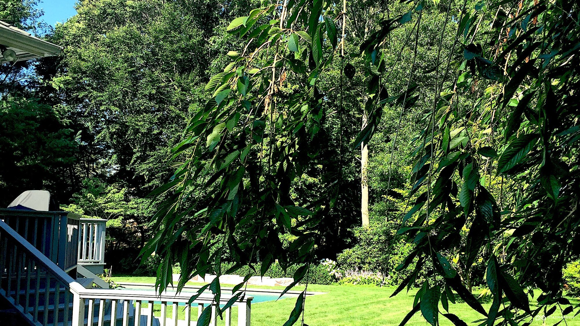 Residence image 2