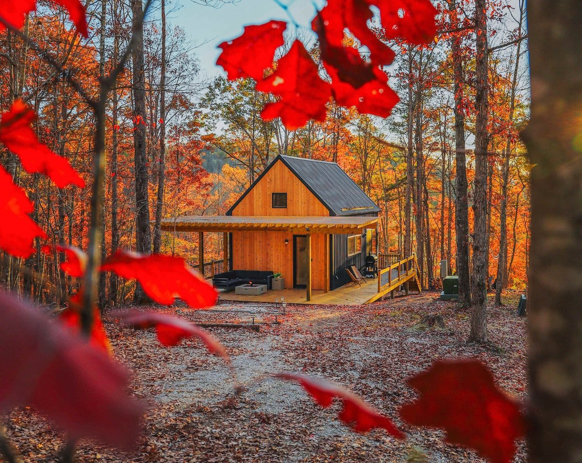 Where the ridgeline meets the woods in western North Carolina in Frenchburg, KY