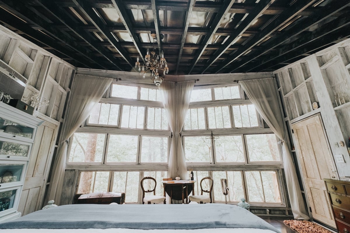Kick back and enjoy this one-of-a-kind, two story view of the forest.  (photo by Ashton Staniszewski)