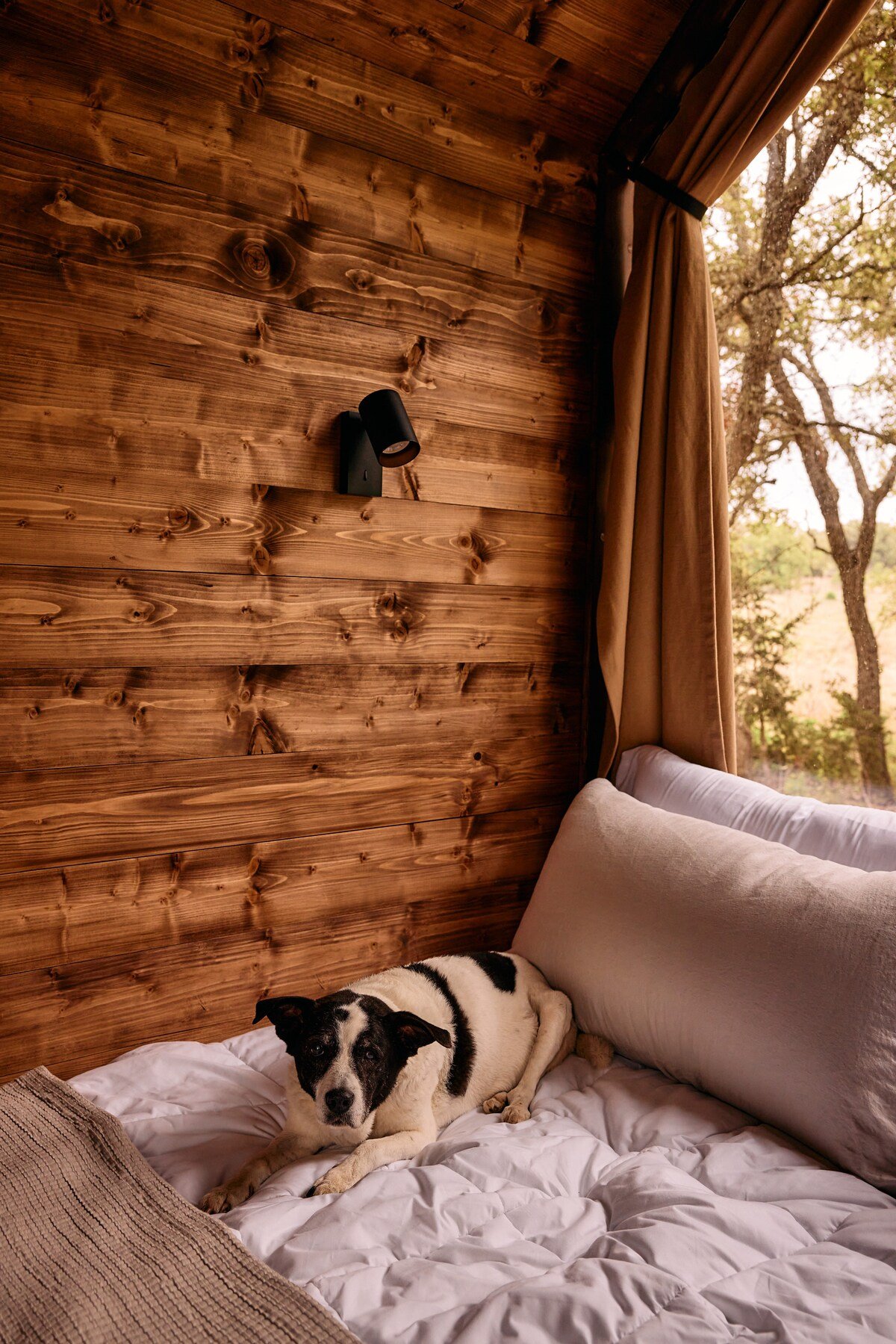 Our luxury nature cabins are dog-friendly and built for serious unwinding.
