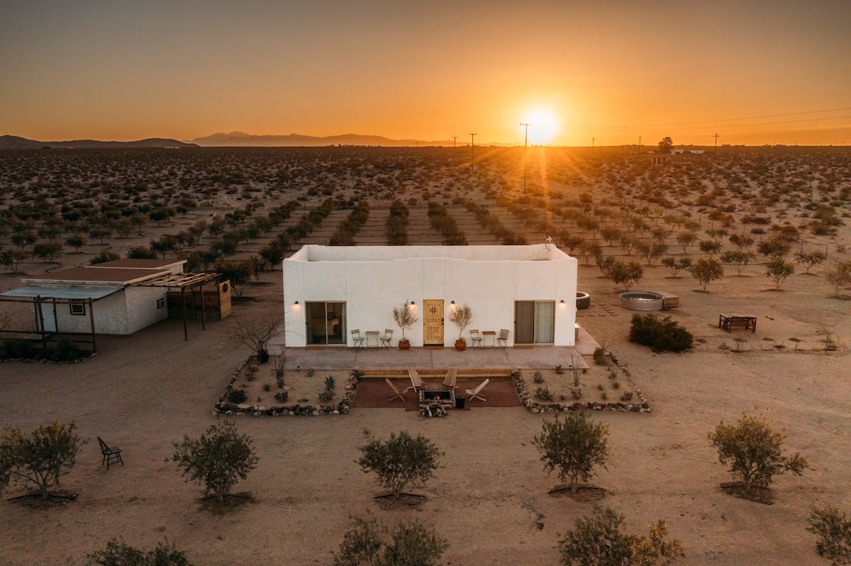 Groves, hot tub, and high-desert stillness on a working Joshua Tree farm in Joshua Tree, CA