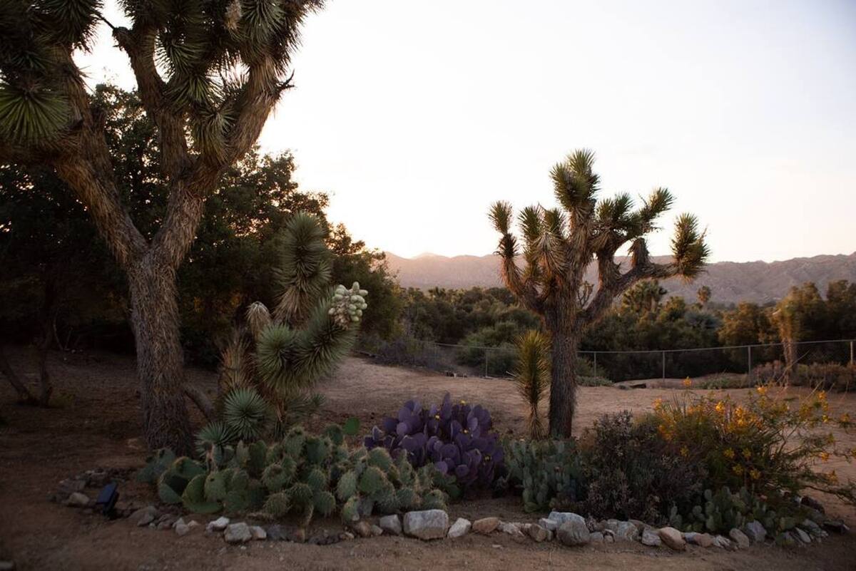 A secluded desert oasis in Yucca Valley in Yucca Valley, CA