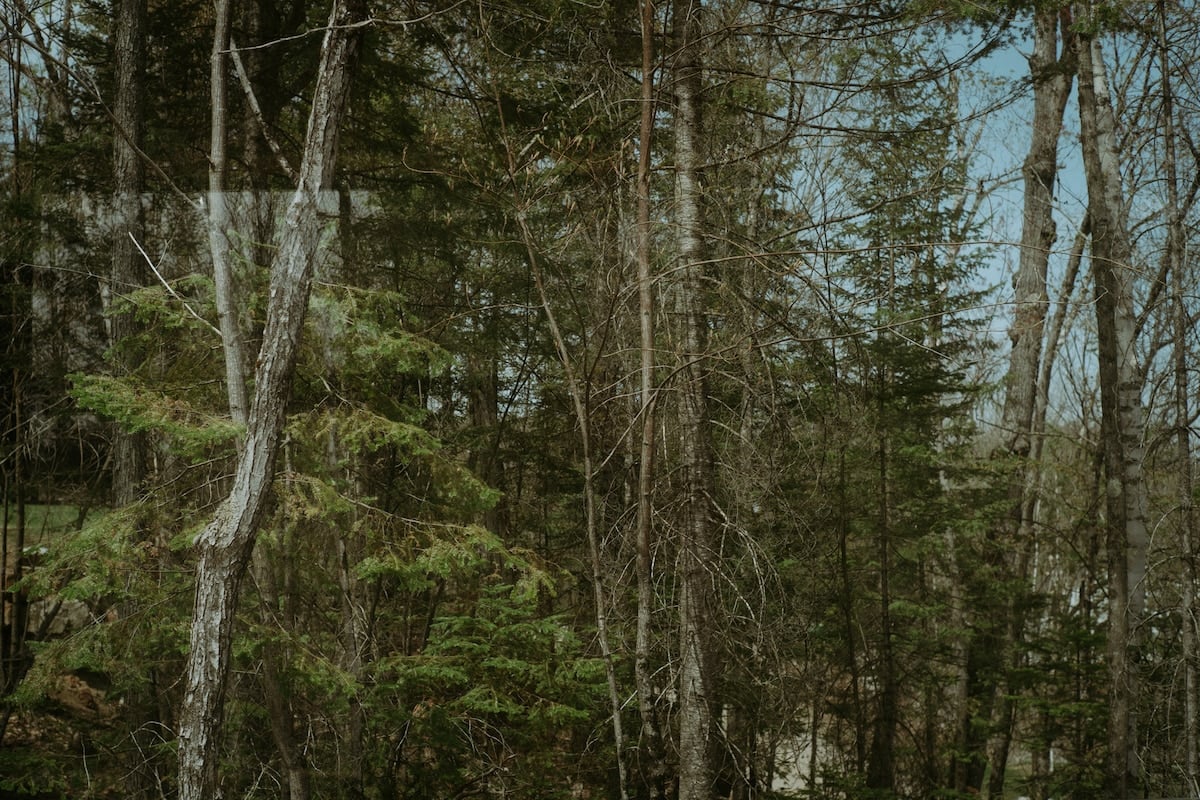 Japandi-inspired cabin retreat near Mont Tremblant. in La Conception, Quebec