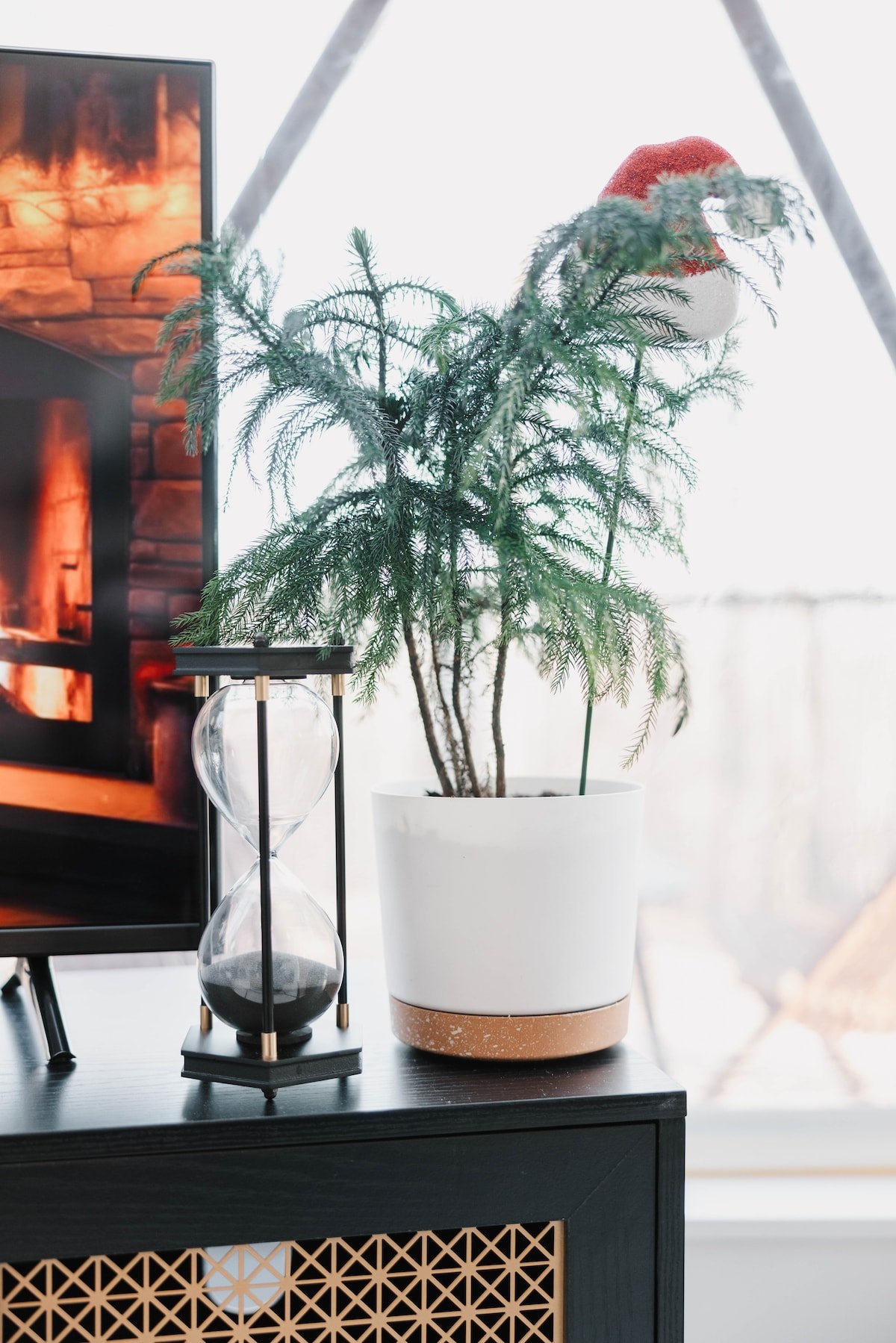 Leafty plants and tasteful décor add character to this unique getaway.
