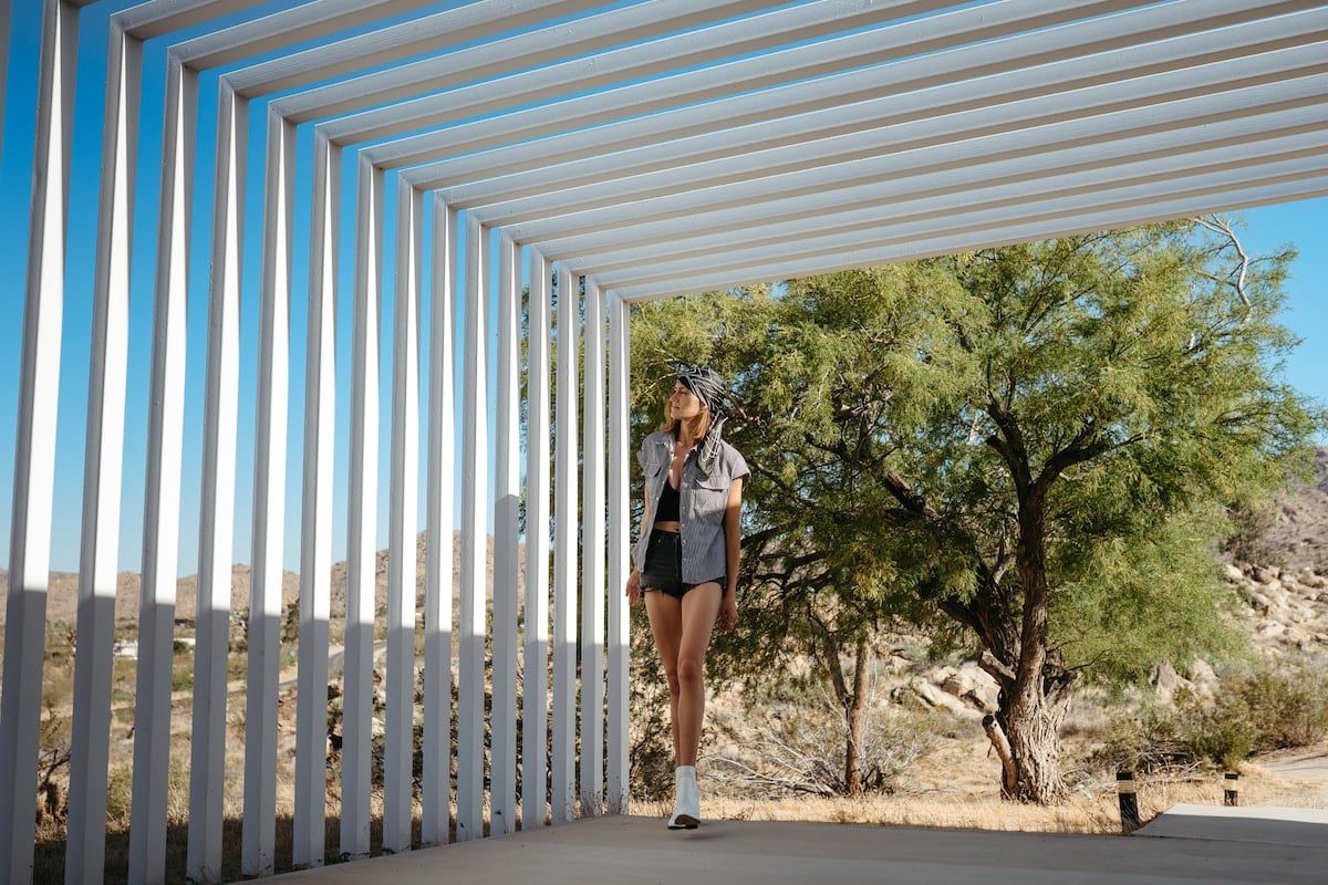 Zebra Shadow By The Cohost Company image 8