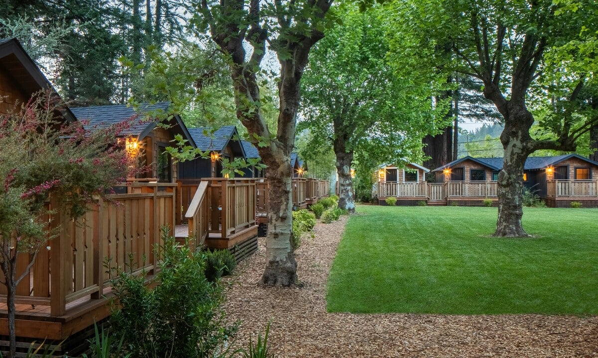 Surrounding the Sycamore Green relaxation area image 38