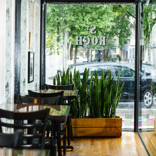 St. Roch Fine Oysters + Bar