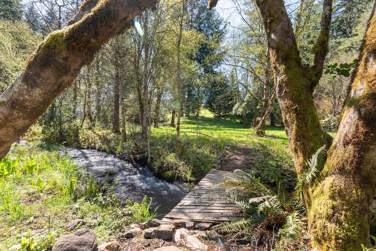 The home that landed from another world in Brush Prairie, WA