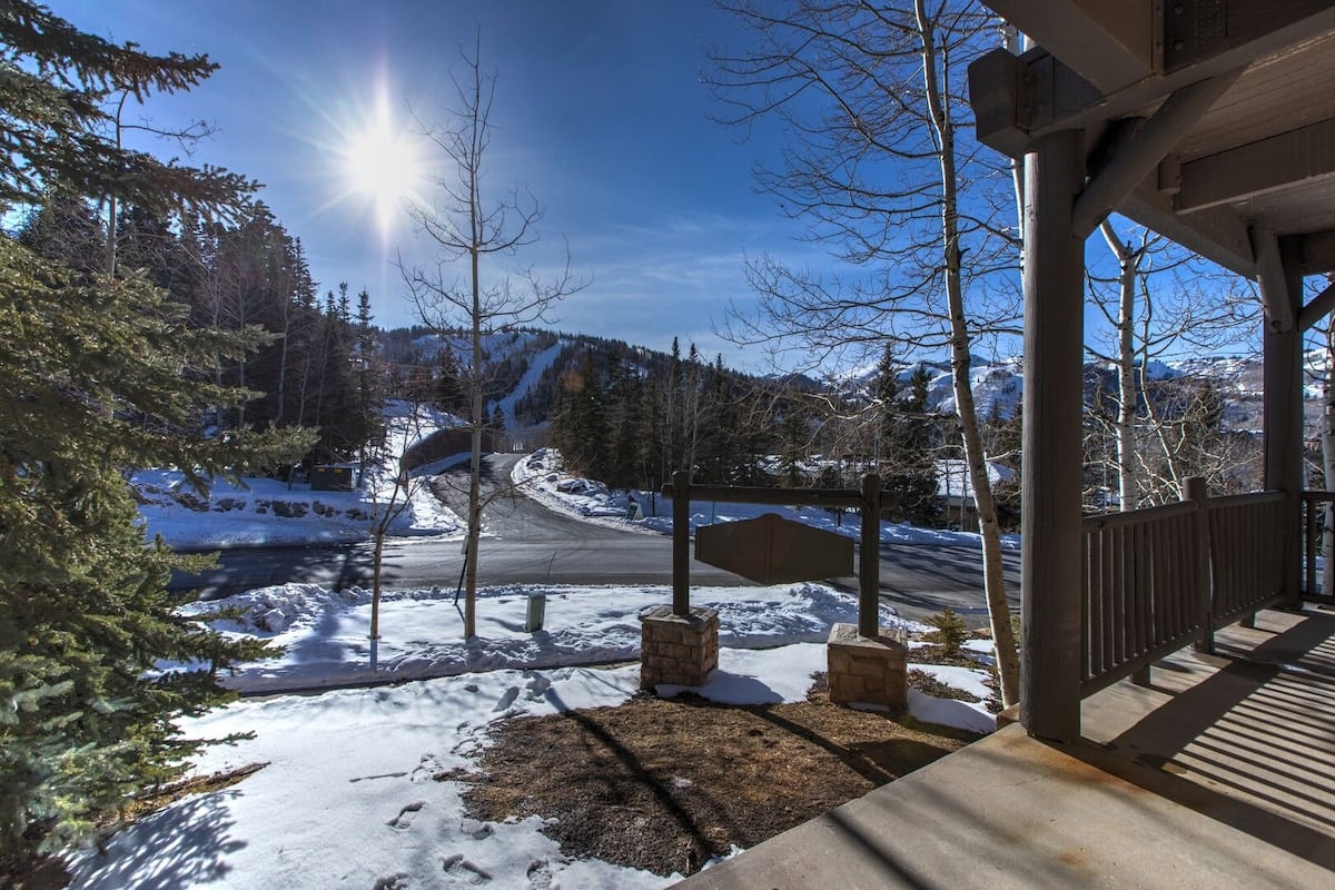 Abode at Black Bear #101 image 30