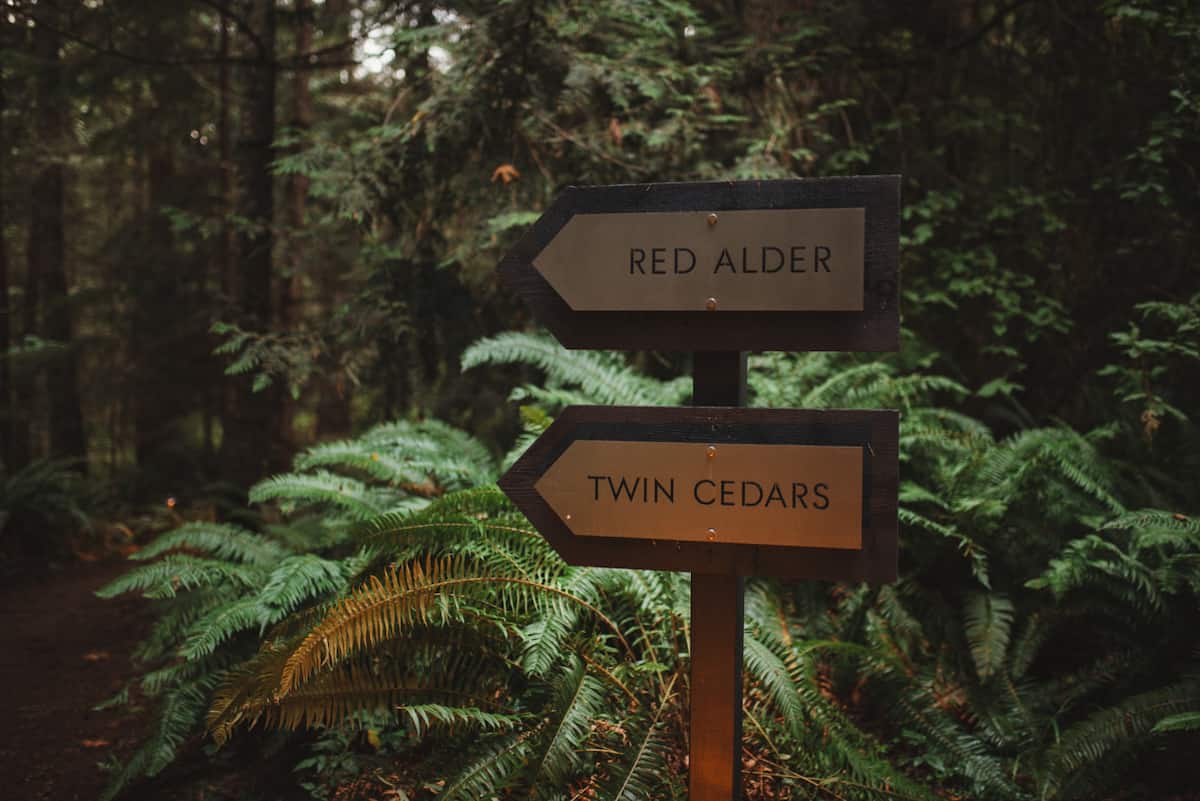 This way to your forest cocoon.