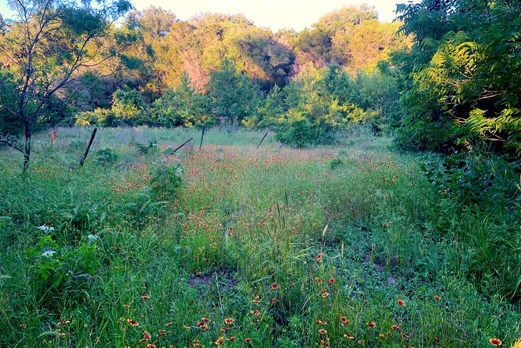 Embrace the opportunity to connect with the natural world during your stay with us