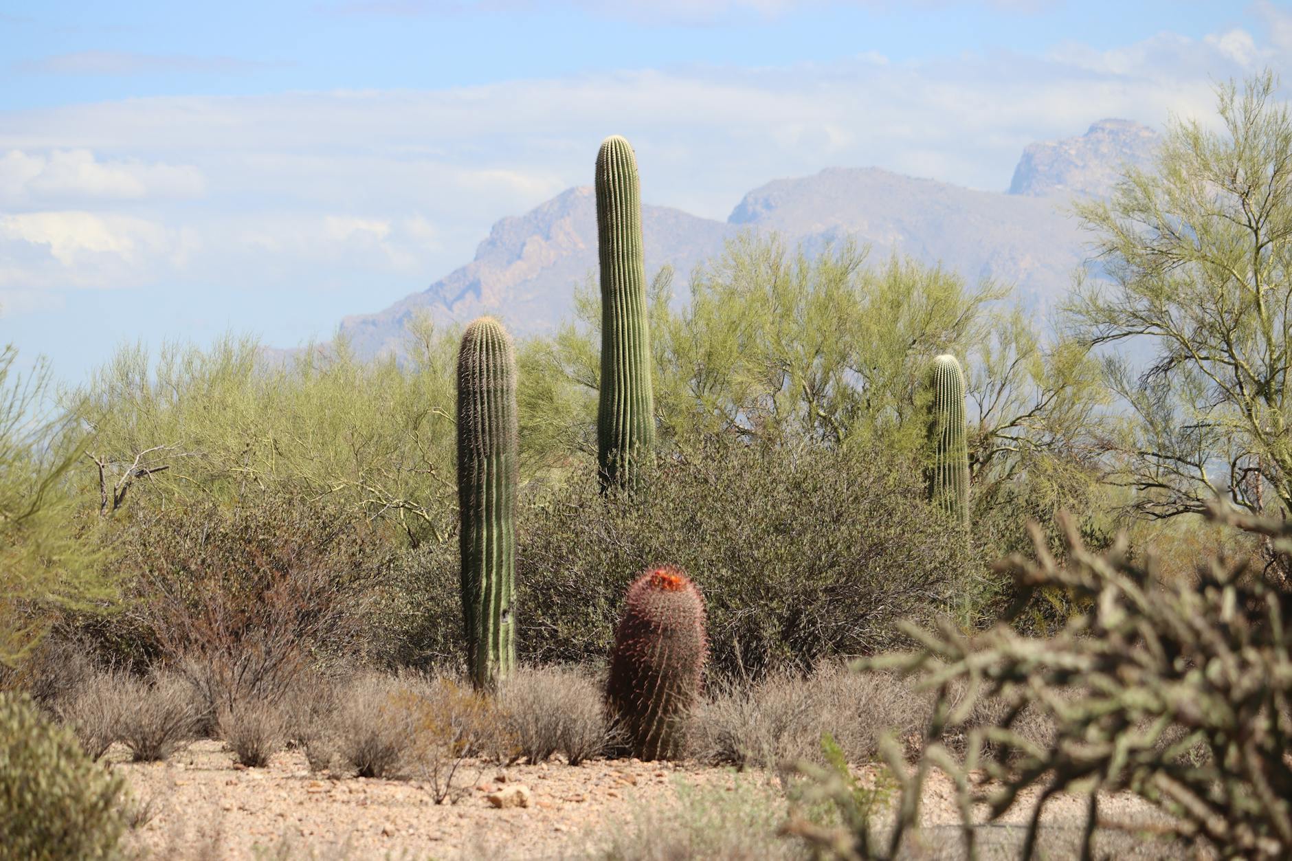 Overview