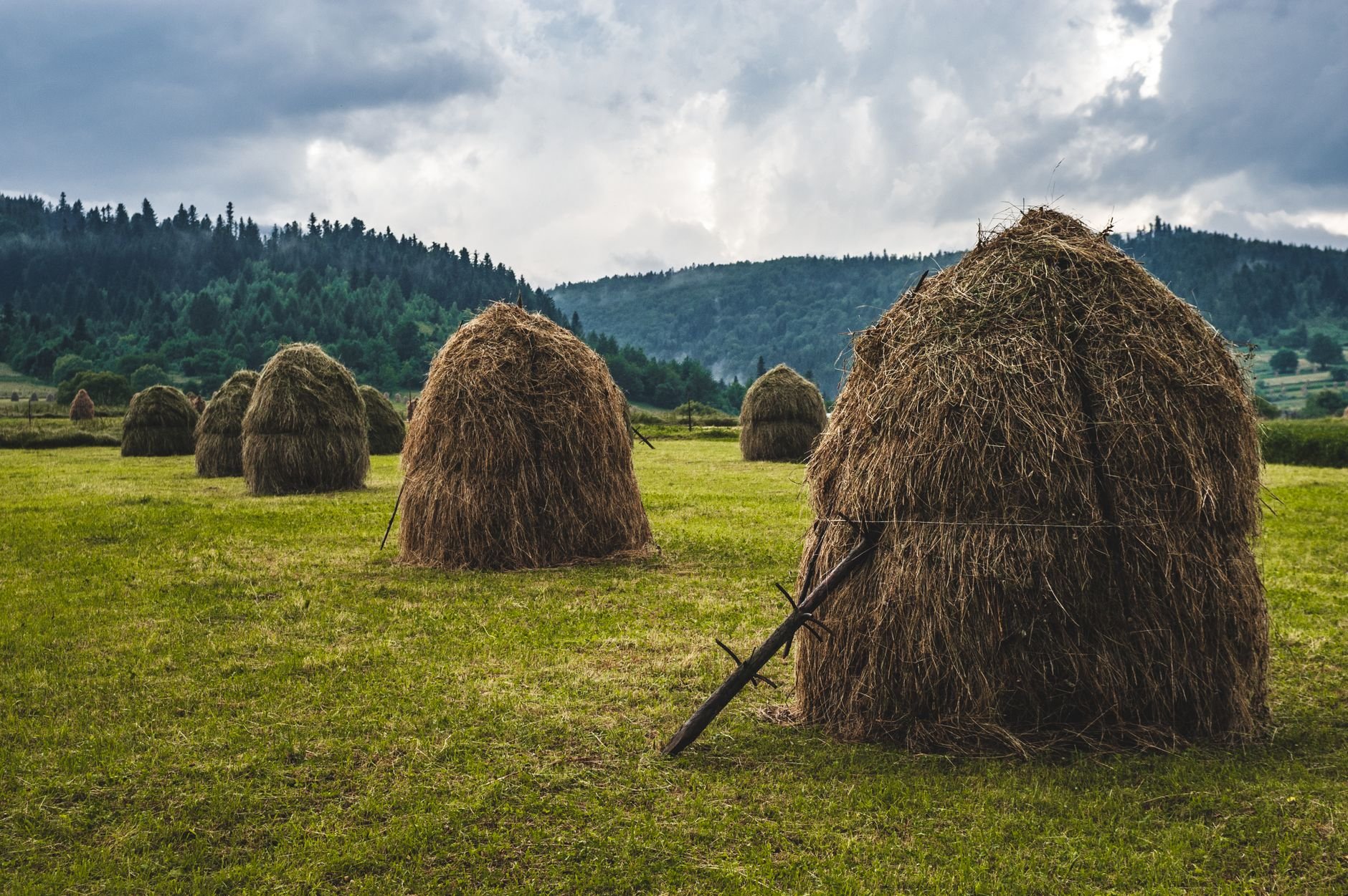 Haystack Holidays 2026