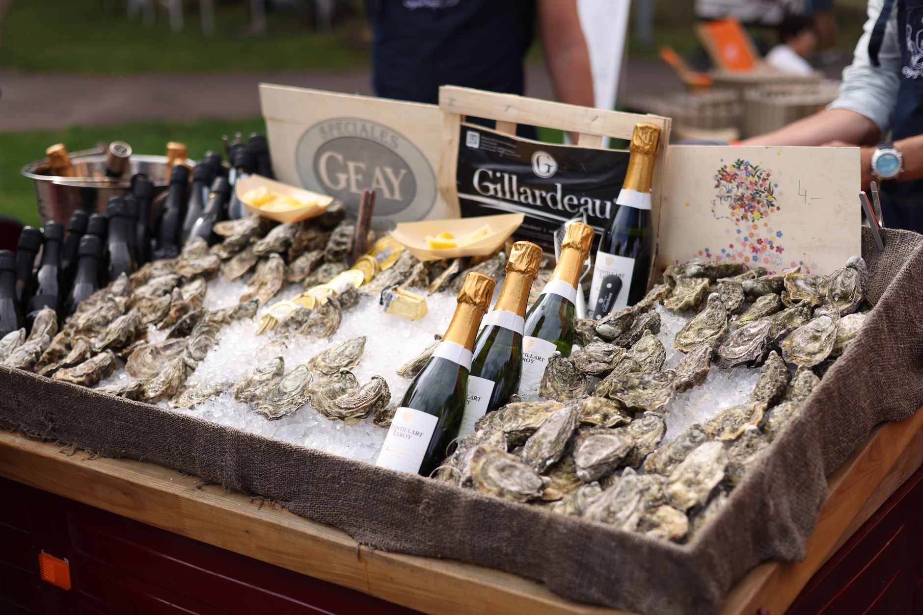 Lowcountry Oyster Festival 2027
