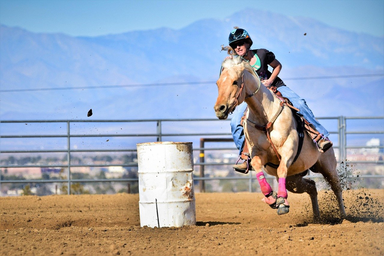 Hialeah Park Quarter Horse Racing Season 2026–2027