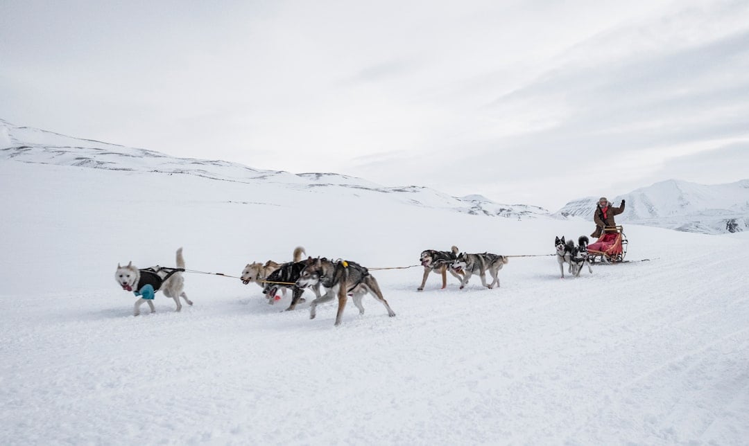 2027 Iditarod Trail Sled Dog Race — Ceremonial Start