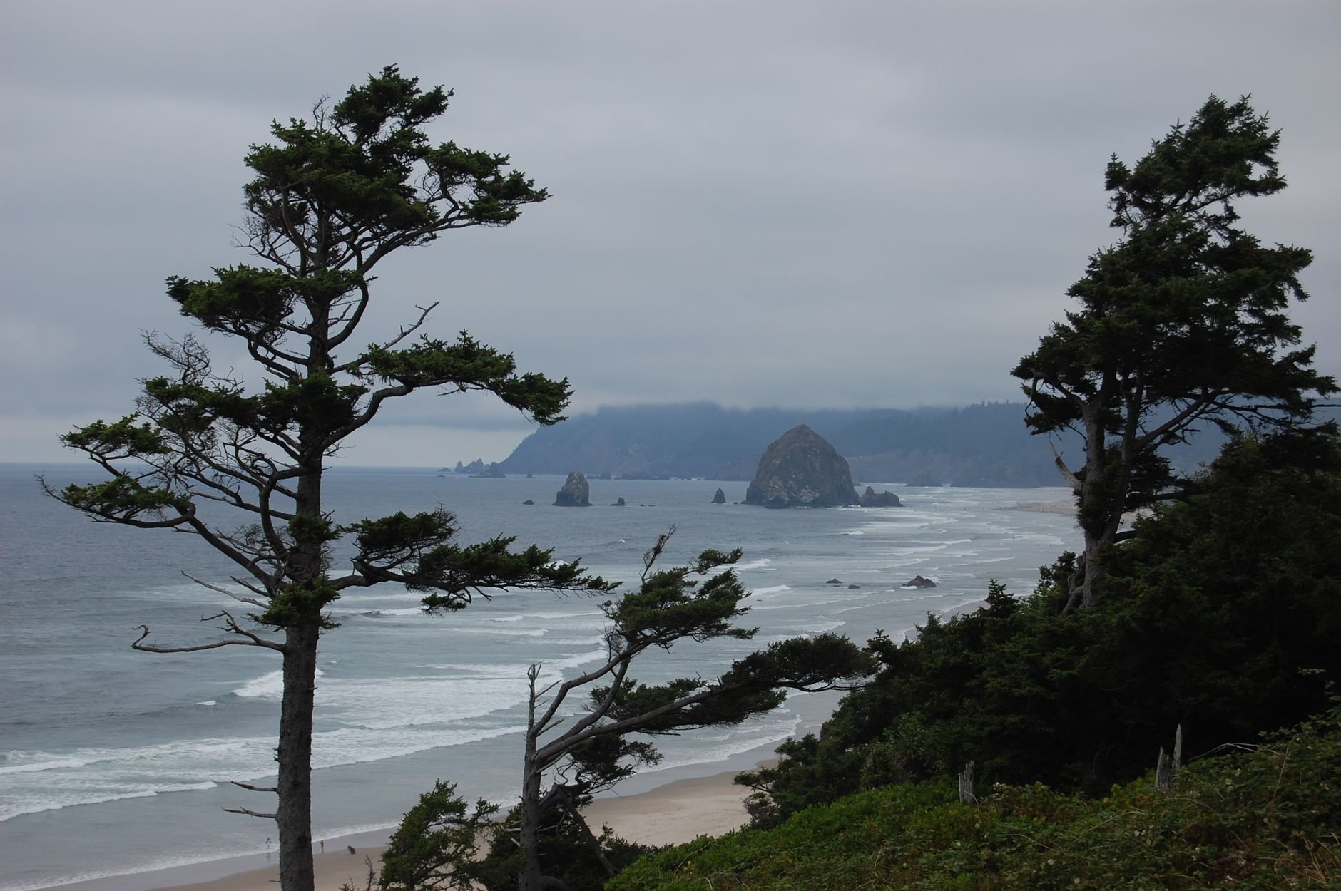 Dramatic coastal view featuring Haystack Rock amidst evergreen trees on a cloudy day in Oregon.
