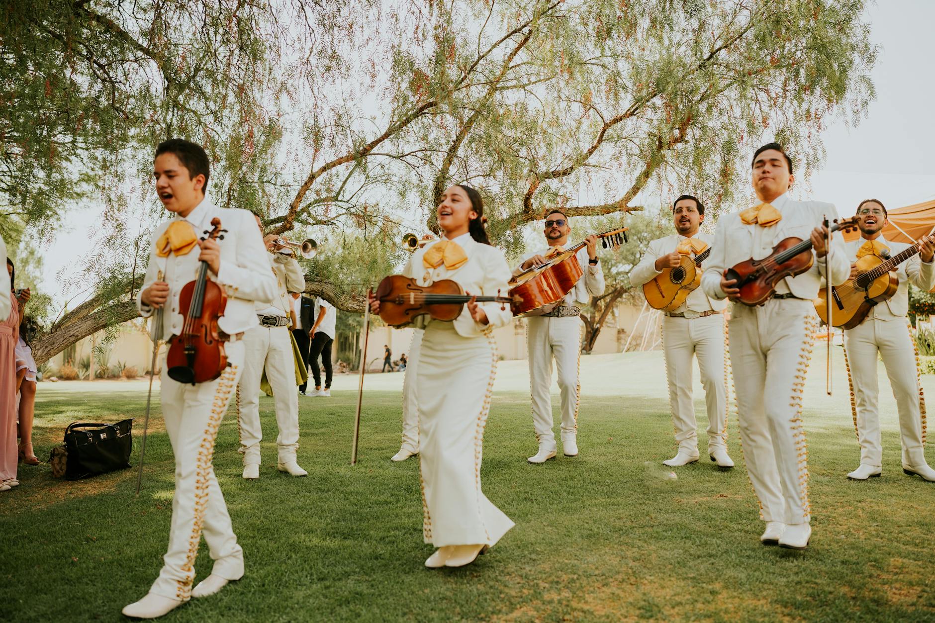 8th Annual Mesa Music Festival