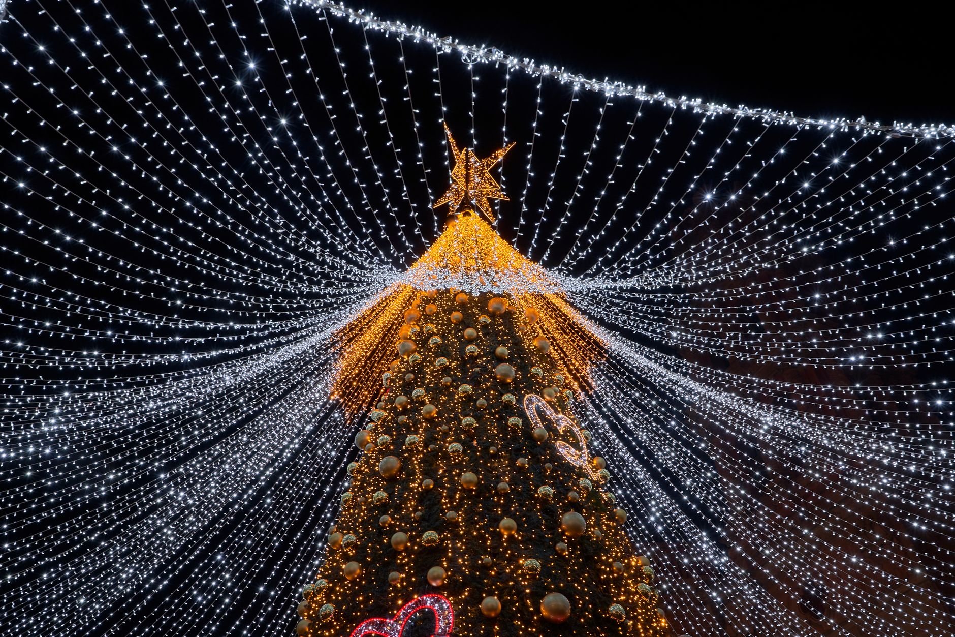 Annual Holiday Lights at Shore Acres 2026