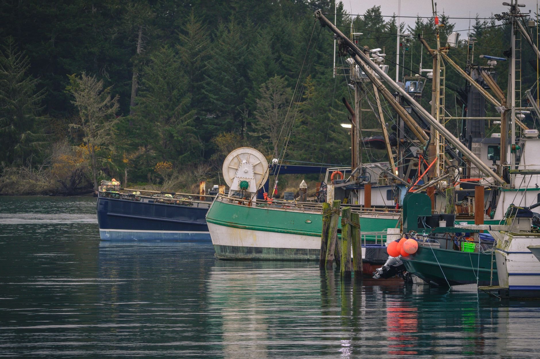Colorful fishing boats moored at Coos Bay harbor surrounded by lush evergreen forest.