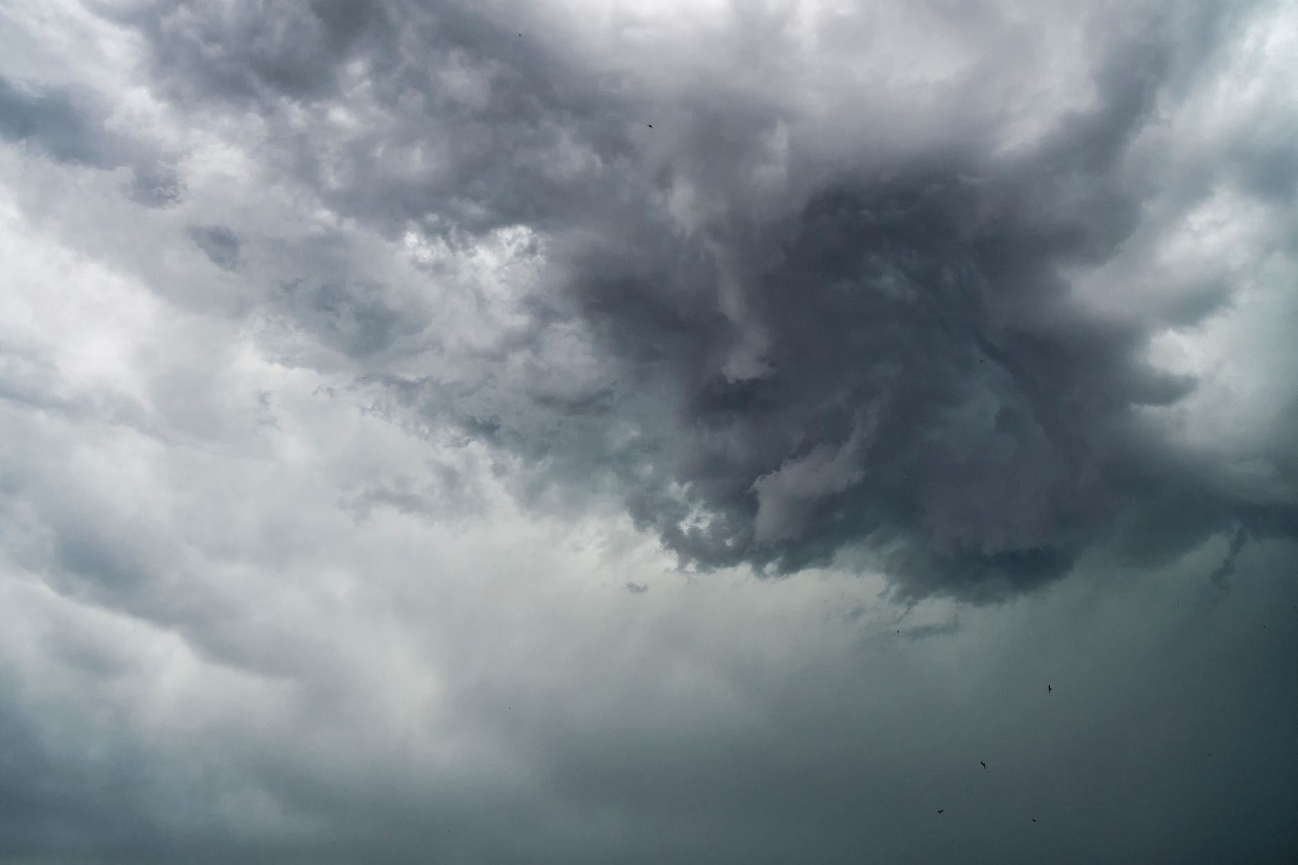 Stormy Weather Arts Festival 2026