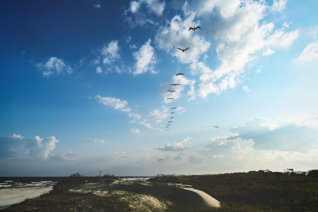 48th Annual Kiawah Island Marathon & Half Marathon