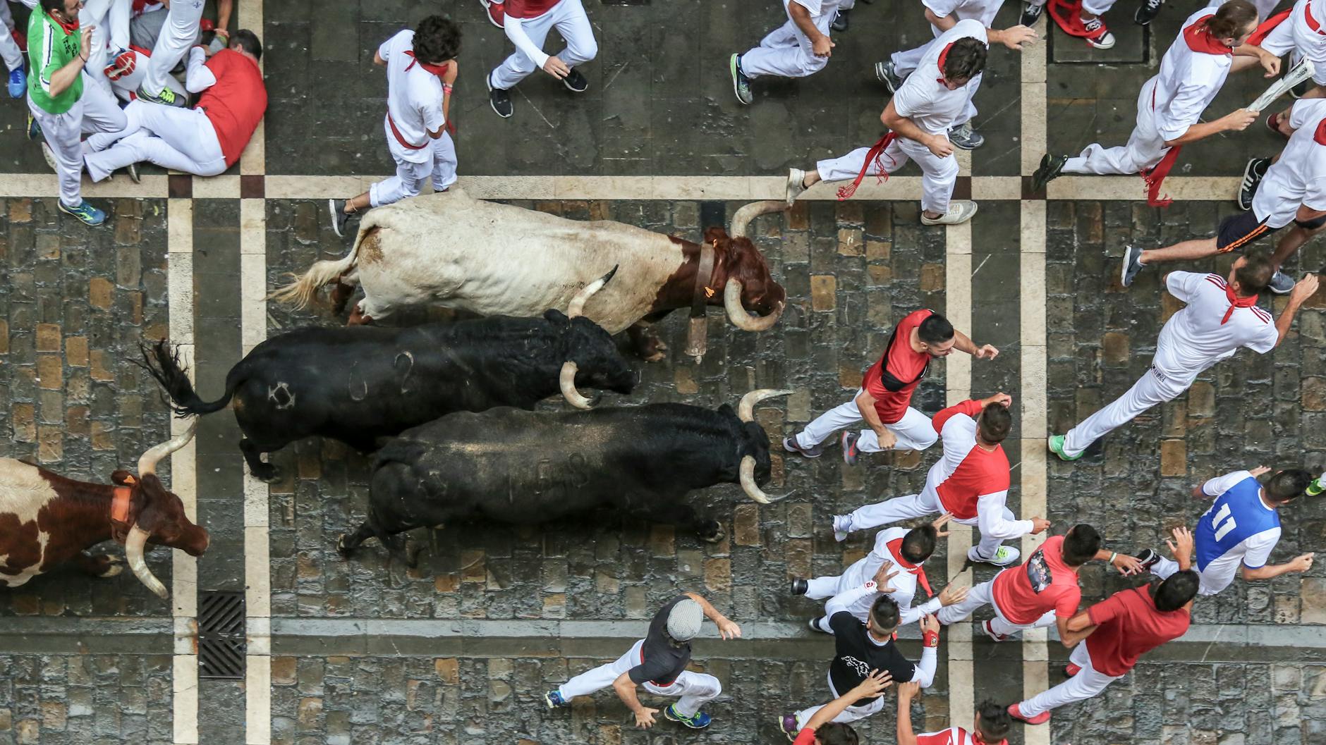 Running of the Bull 2026 (29th Annual)