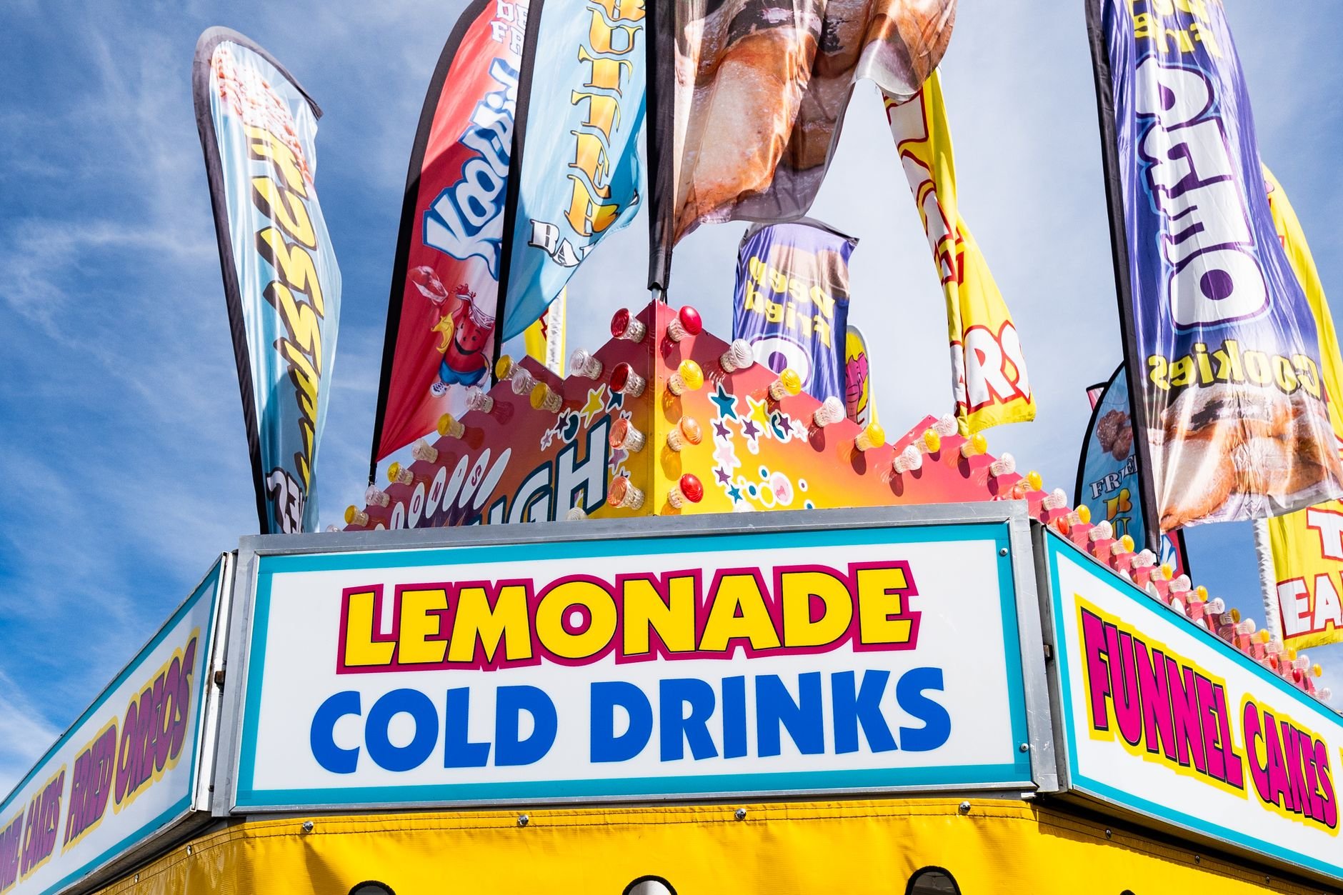 Minnesota State Fair 2027
