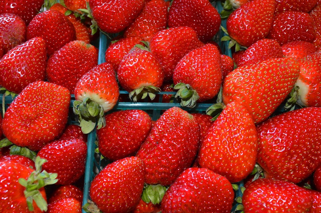 41st Annual California Strawberry Festival