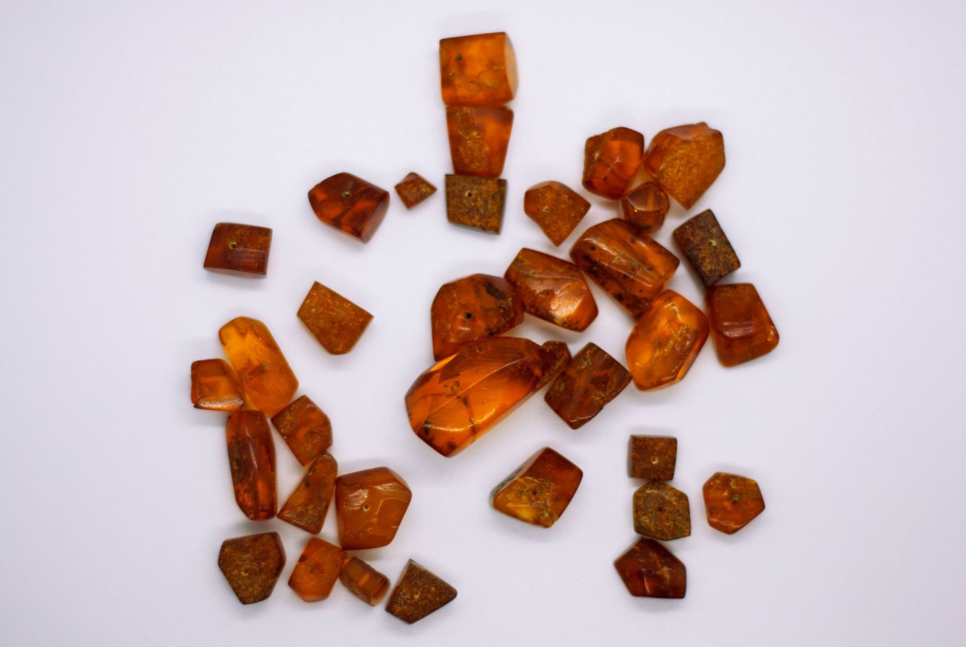 Tucson Gem, Mineral & Fossil Showcase 2027