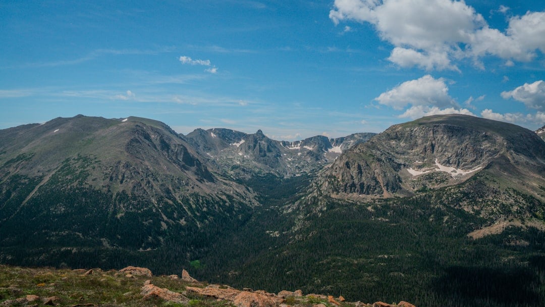 Overview