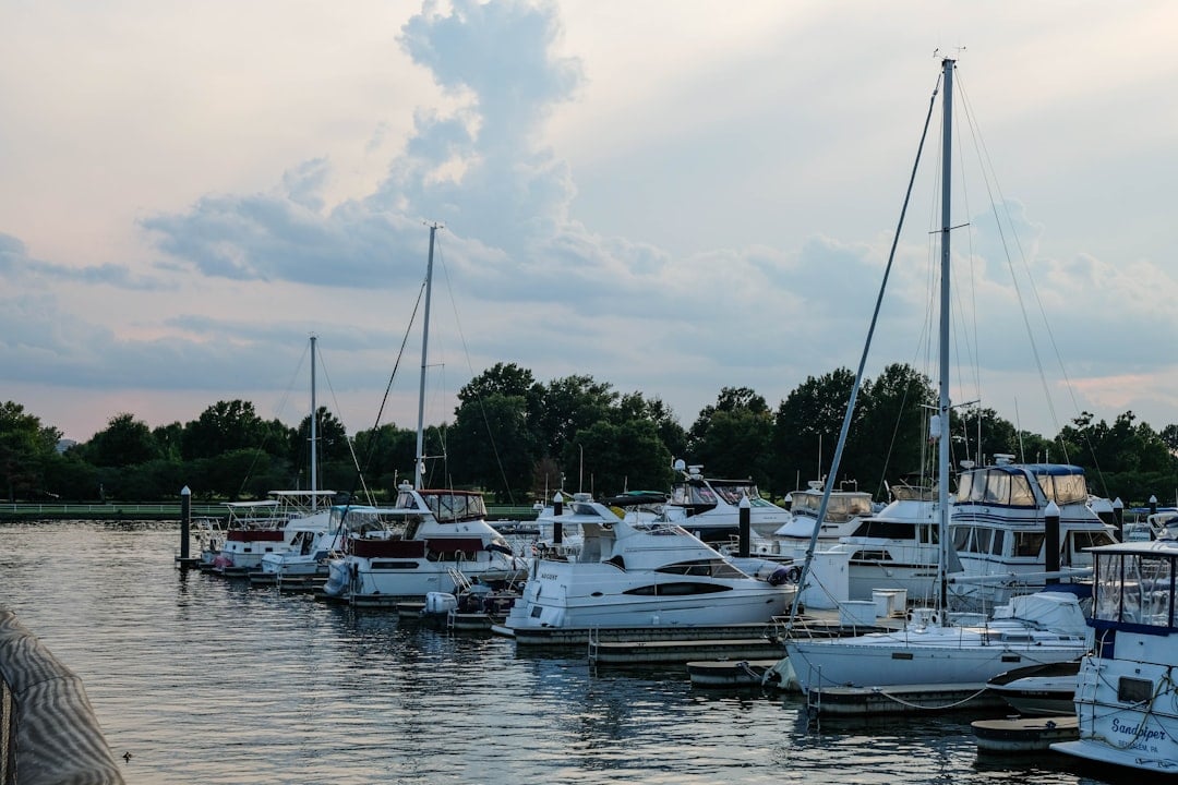 48th Annual ALX Jazz Fest at Sails on the Potomac