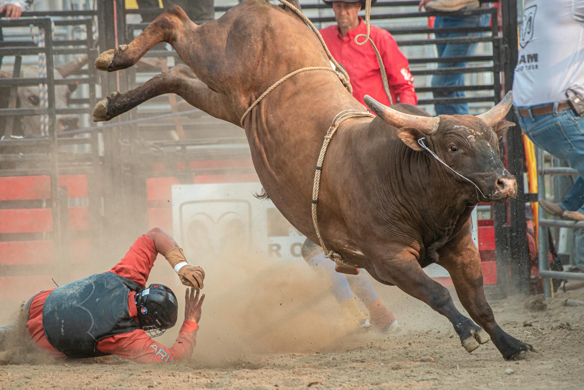 PBR World Finals: Championship 2027