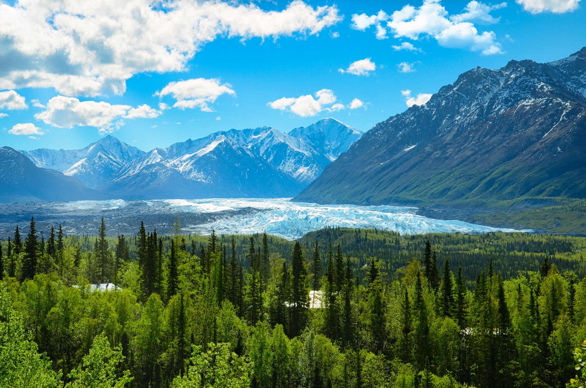 Breathtaking view of Alaskan mountains, glacier, and lush forest in summer. Ideal for nature and travel enthusiasts.