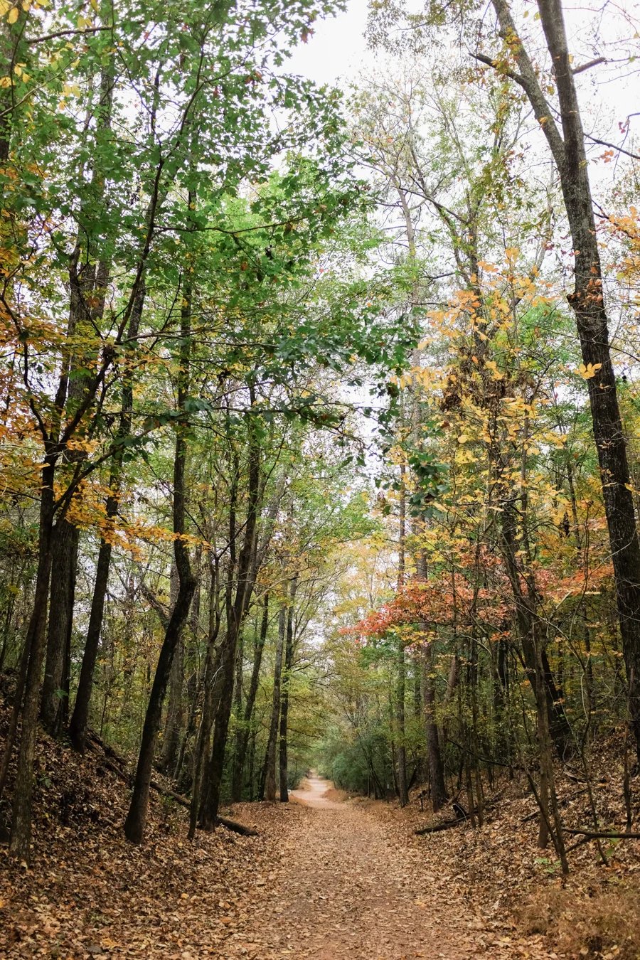 Day 2