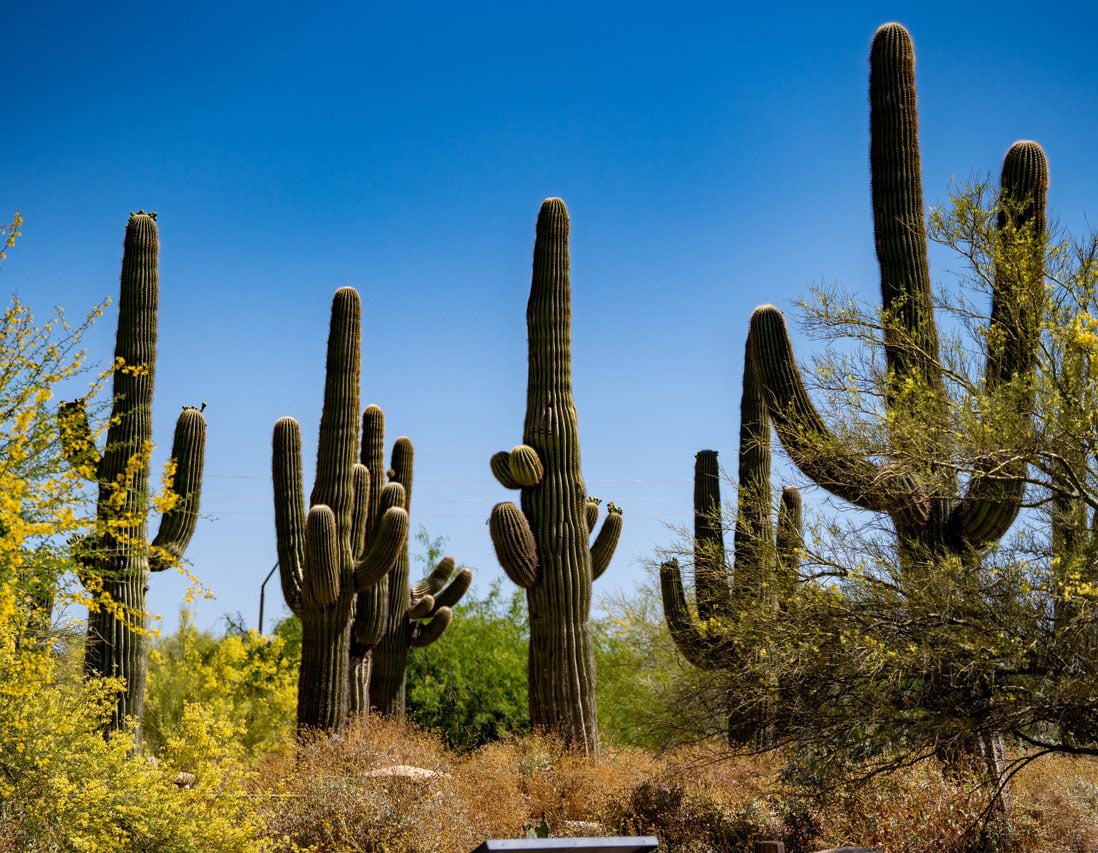 Gilbert, Arizona