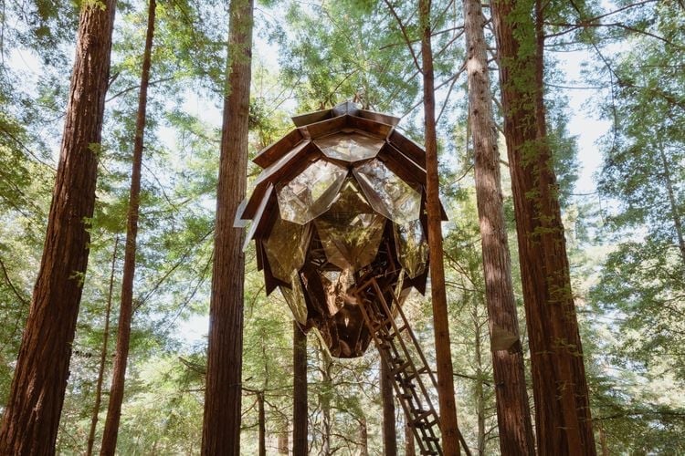 Treehouses image 3